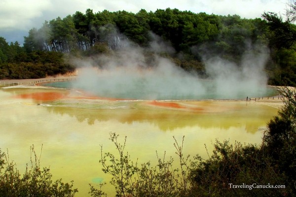 Geothermal Pools in Rotorua, New Zealand