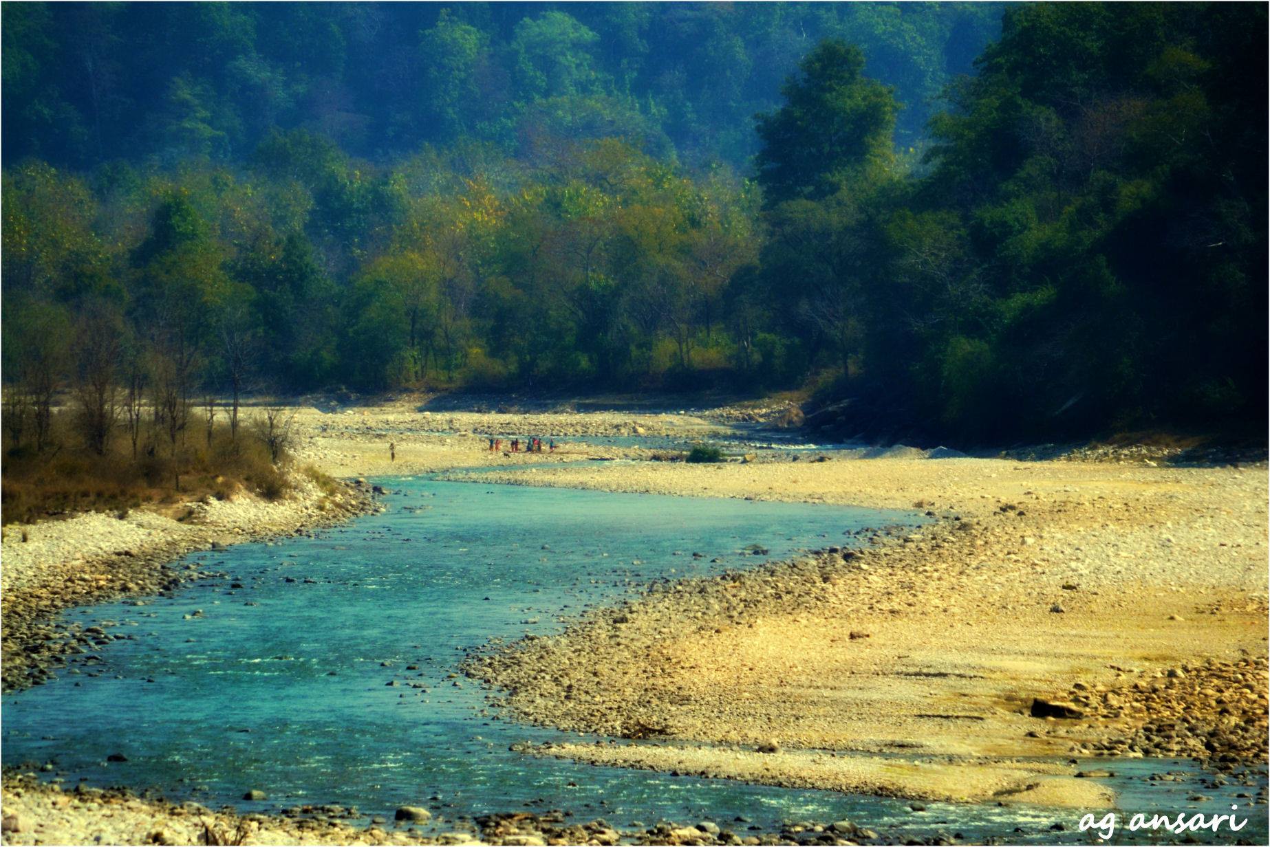 Blue Ramnagar Forest Division Corbett Tiger Reserve