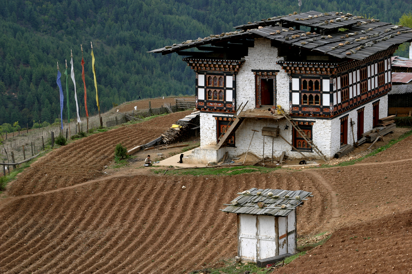 Traditional Bhutanese House