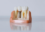 What Is the Difference Between the Materials of Dental Implants